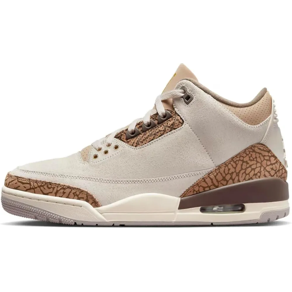 Jordan Air Jordan 3 Retro