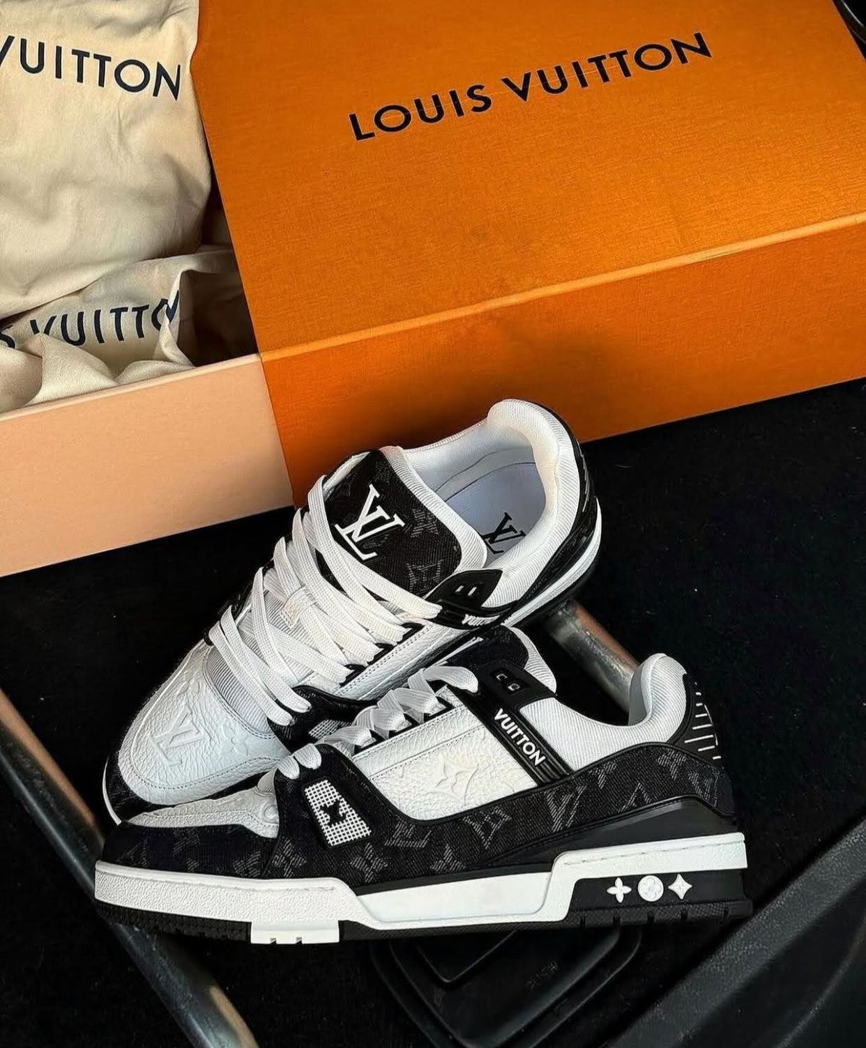 Louis Vuitton trainers (LV)
